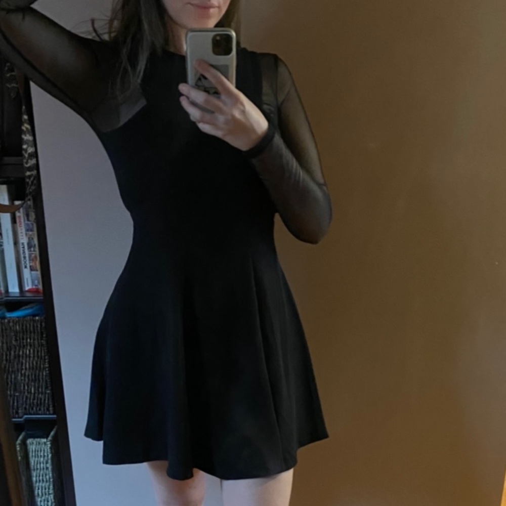 Mesh Sleeve Black Fit & Flare Dress